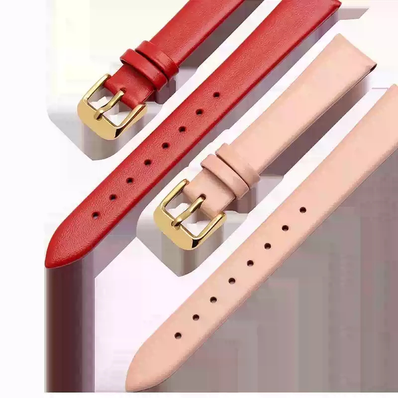 Daniel Wellington Watches & Jewelry Online Store - إكسسوارات الساعة 12 مم - 24